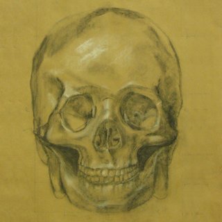 skull value study